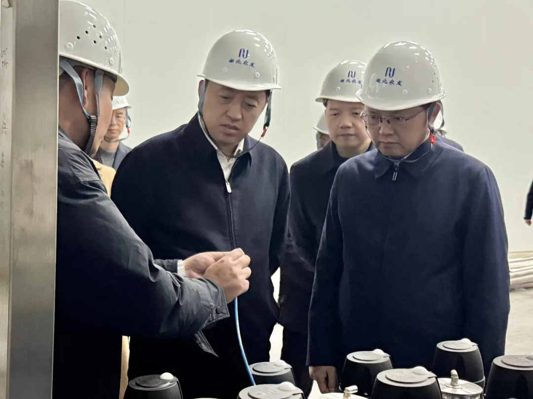 楊良鋒一行調(diào)研蛋品精深加工項(xiàng)目